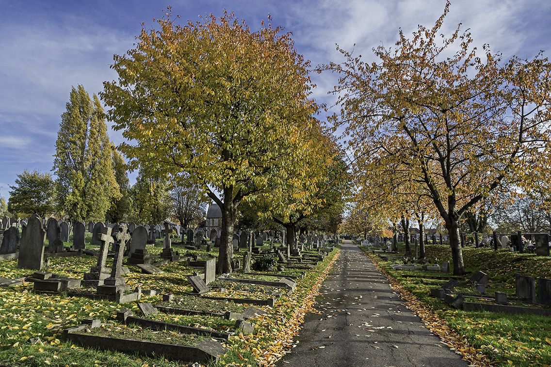 Wandsworth-Cemetery-Nov-3-SV.jpg
